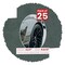 Dark Grey Suede Mat Board for 11x17 Frames - Oval Opening for 9.5x13 Photos